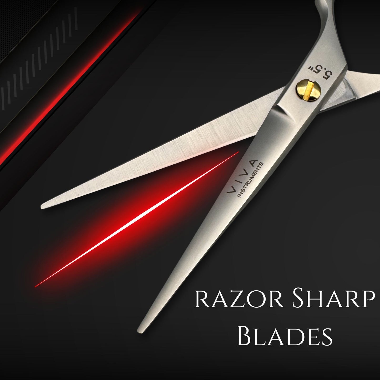Hair Scissors 5.5 Inch