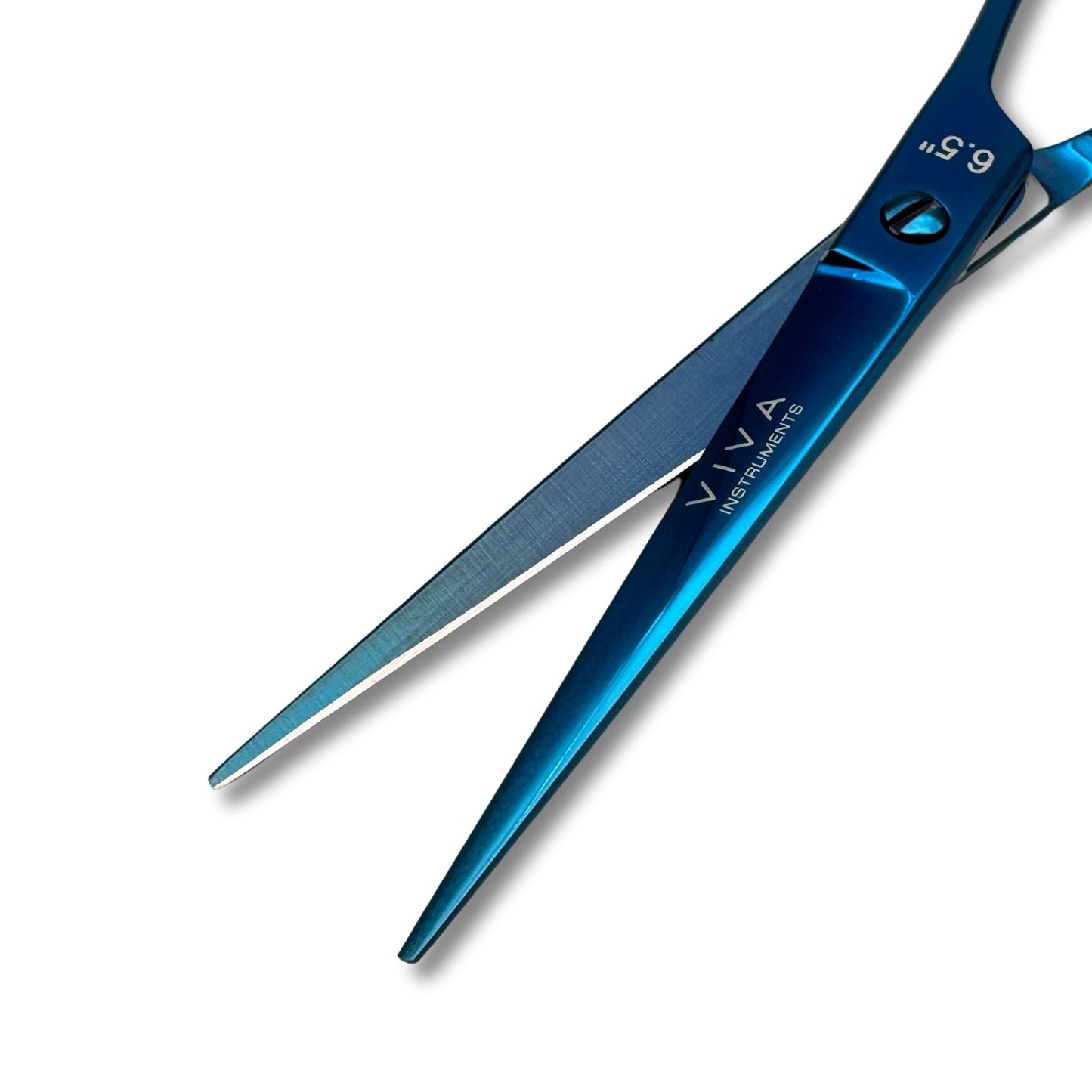 Haircut & Thinning Scissors Set - Blue