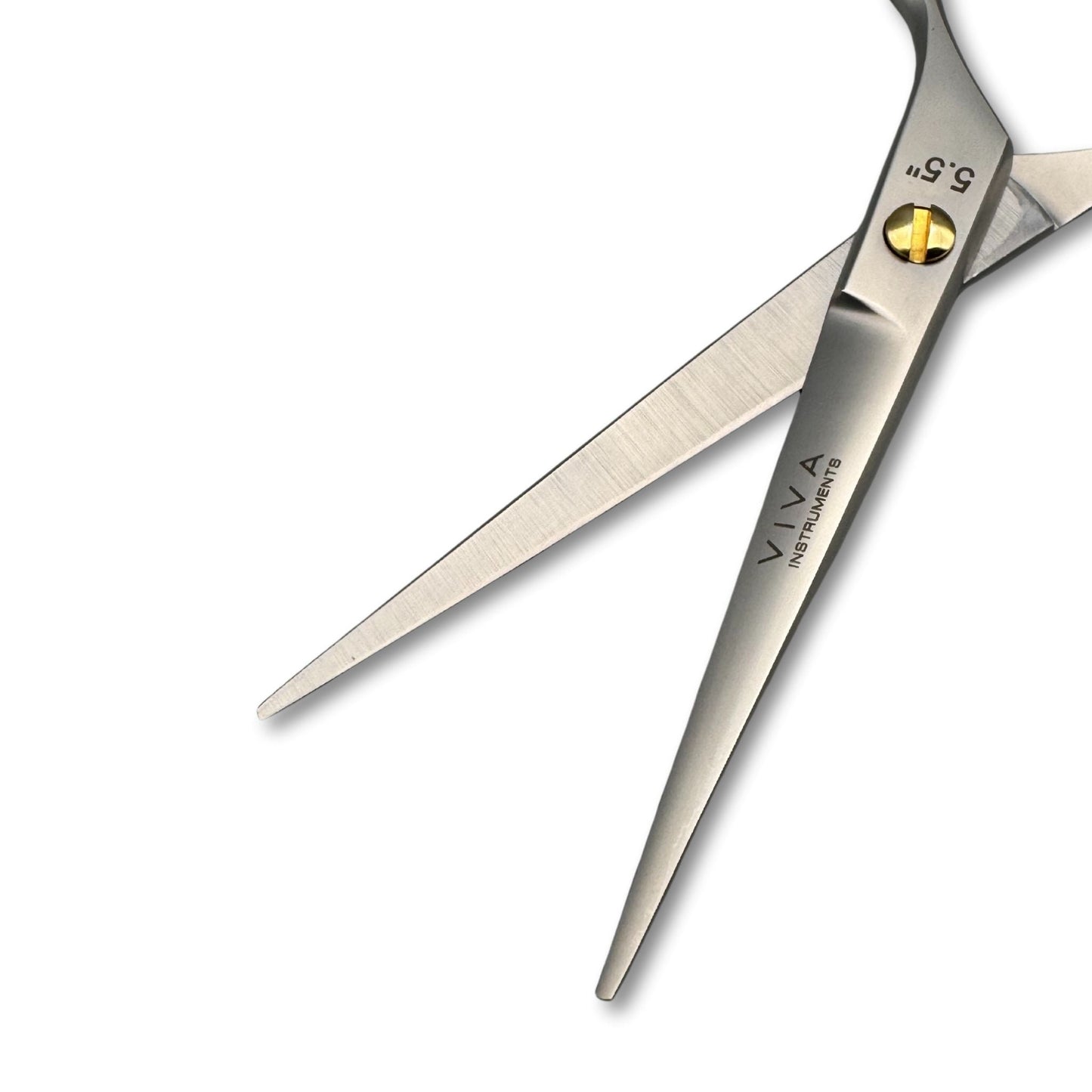 Hair Scissors 5.5 Inch