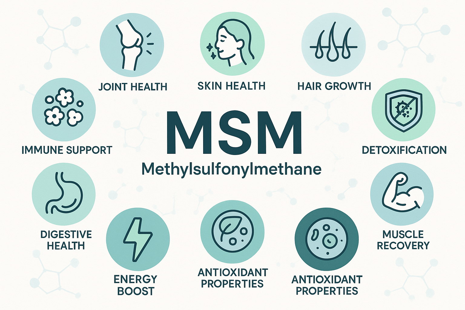 10 Reasons Why MSM is Essential