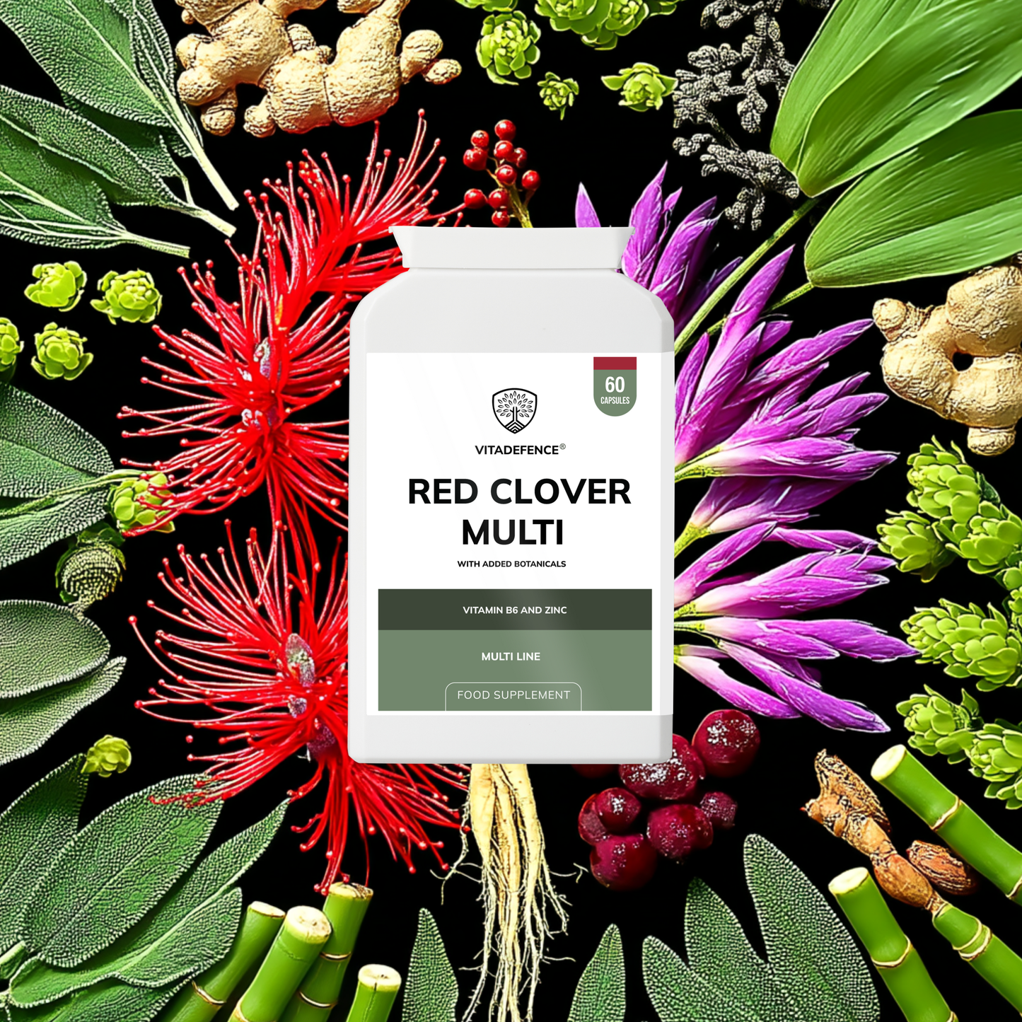 Vitadefence® Red Clover Multi | With Vitamin B6, Zinc, Sage & Siberian Ginseng – 60 Capsules
