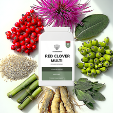 Vitadefence® Red Clover Multi | With Vitamin B6, Zinc, Sage & Siberian Ginseng – 60 Capsules