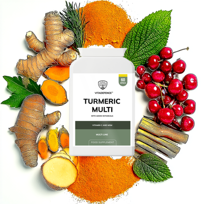 Vitadefence® Turmeric Multi | With Vitamin B6, Zinc & Botanicals – 90 Capsules