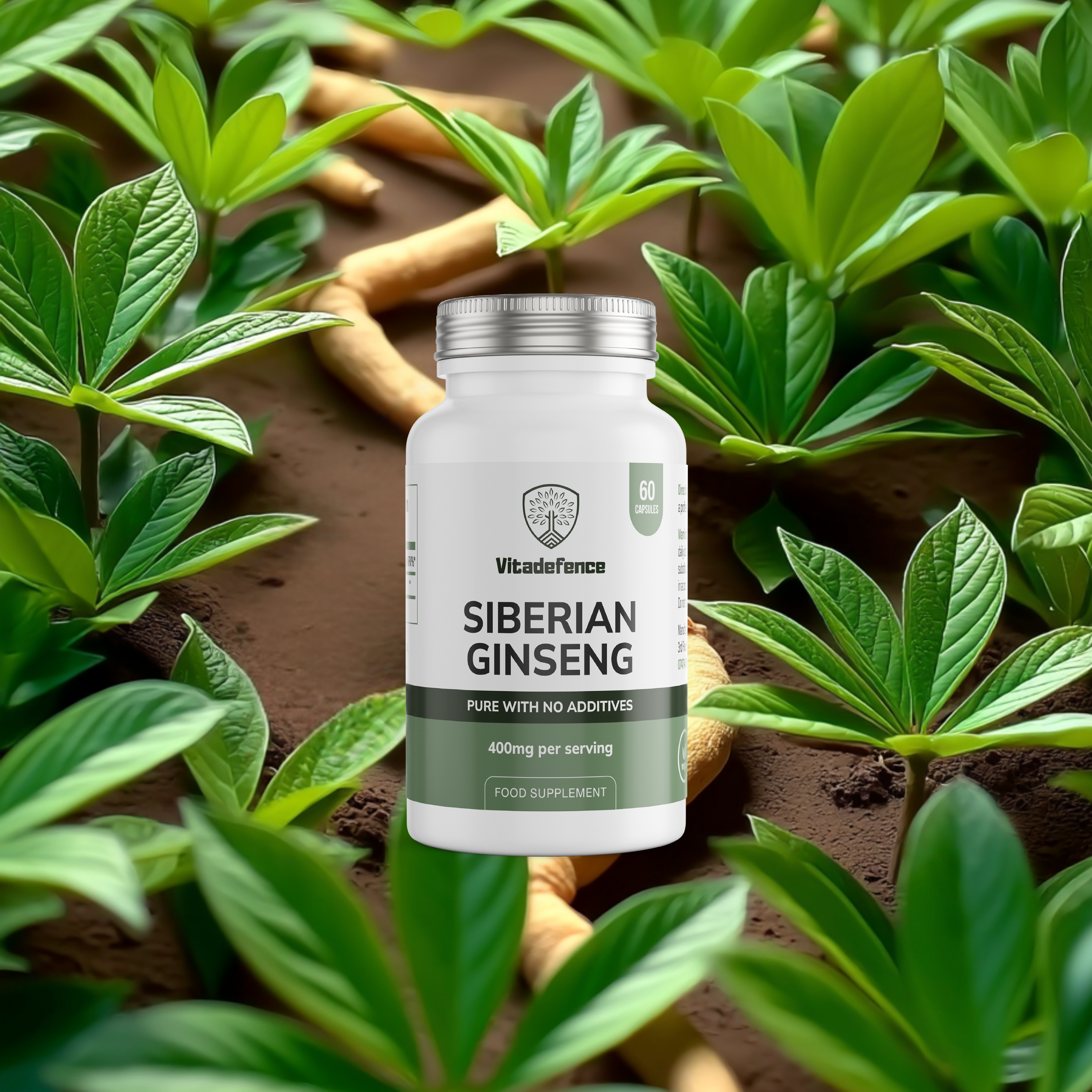 Vitadefence® Siberian Ginseng | 800 mg Vegan Capsules – 60 Count