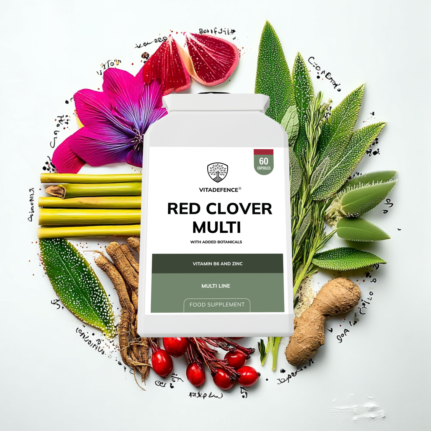 Vitadefence® Red Clover Multi | With Vitamin B6, Zinc, Sage & Siberian Ginseng – 60 Capsules