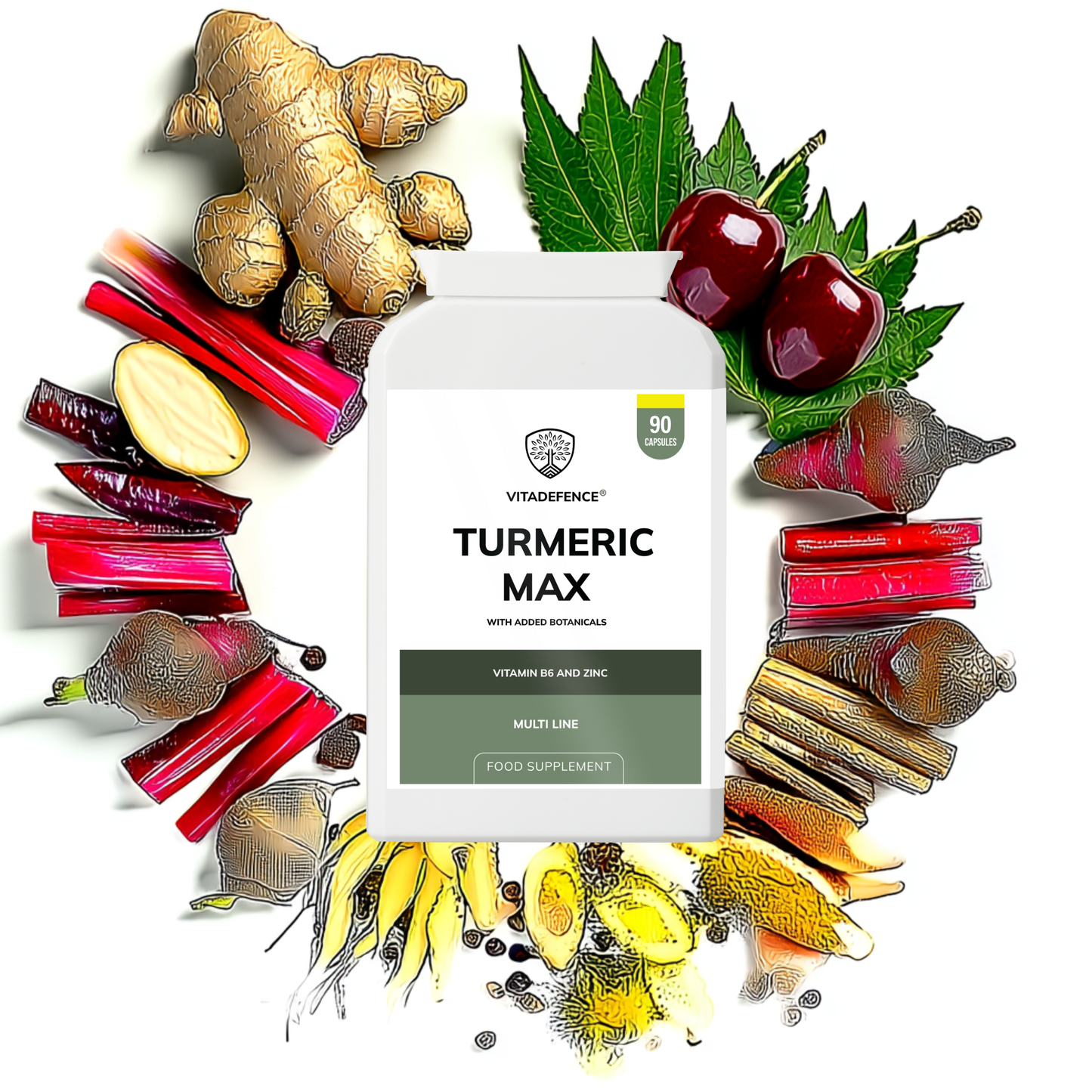 Vitadefence® Turmeric Max | With Vitamin B6, Zinc & Botanicals – 90 Capsules