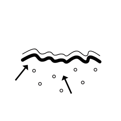 Vegan Collagen Superfood - USA