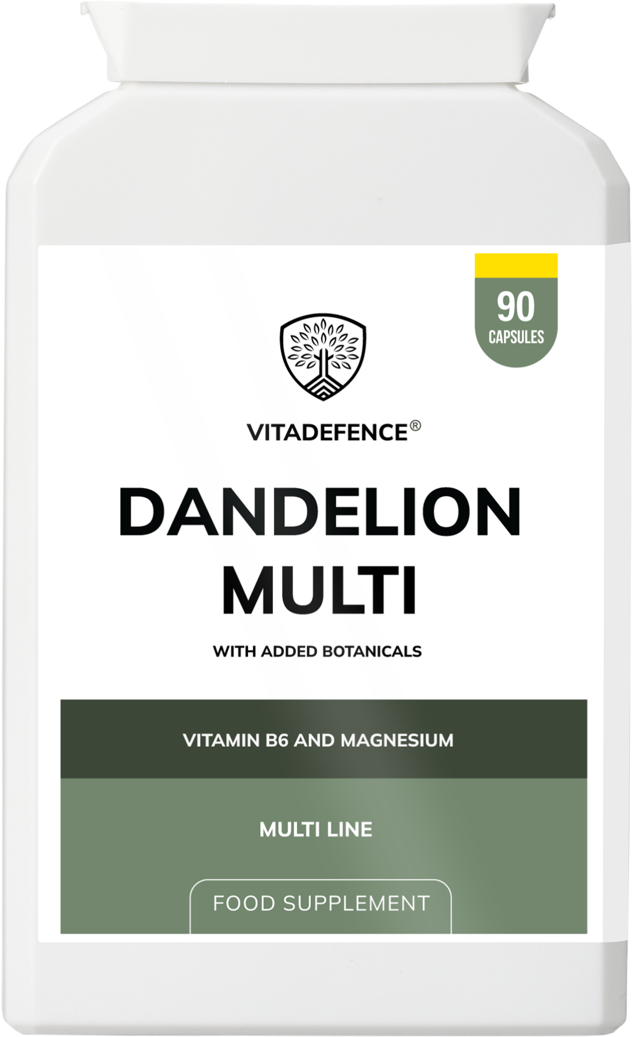 Vitadefence® Dandelion Multi | With Vitamin B6, Magnesium & Botanicals – 90 Capsules
