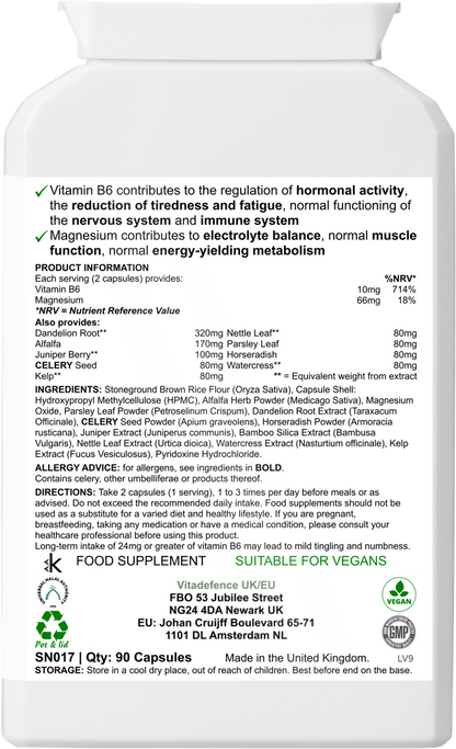 Vitadefence® Dandelion Multi | With Vitamin B6, Magnesium & Botanicals – 90 Capsules -  Vitadefence® - Vitadefence®
